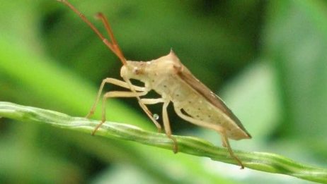 十二星座变身成野生动物 你会是什么呢 爱言情 十二星座变身成野生动物 你会是什么呢 爱言情