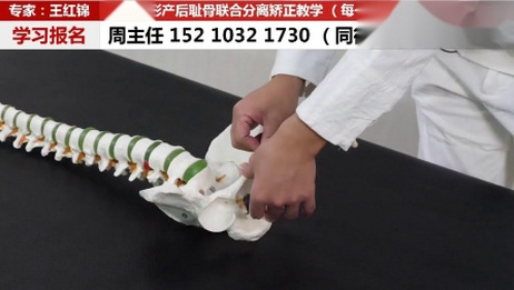 耻骨突出可以手术矫正吗 百度