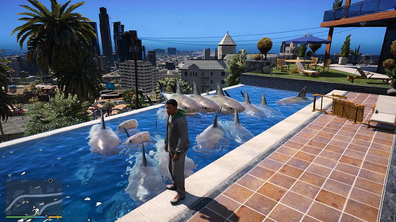 gta5:小富养了30头鲨鱼,感觉不过瘾,那就再养5只哈士奇