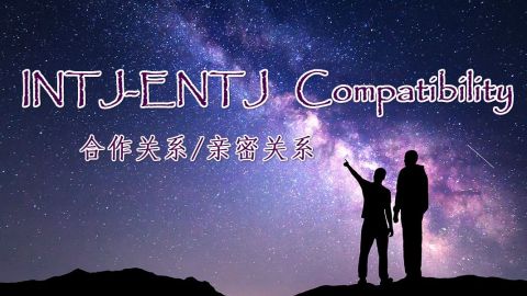 16型人格 Intj Entj相性简析 Mbti 中字