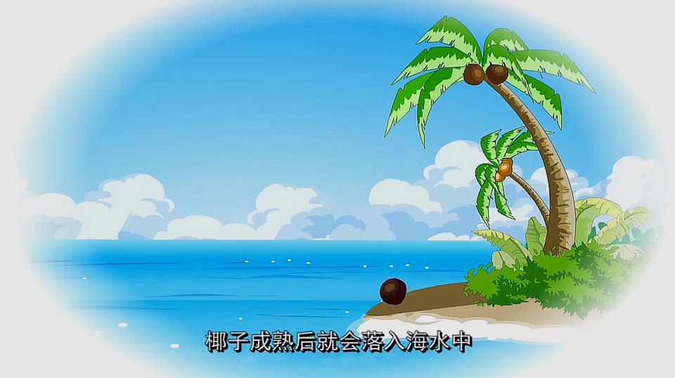 科普益智系列「儿童科学馆」海岛的椰子树