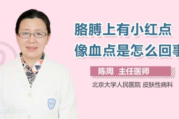 胳膊有针尖小血点图 百度