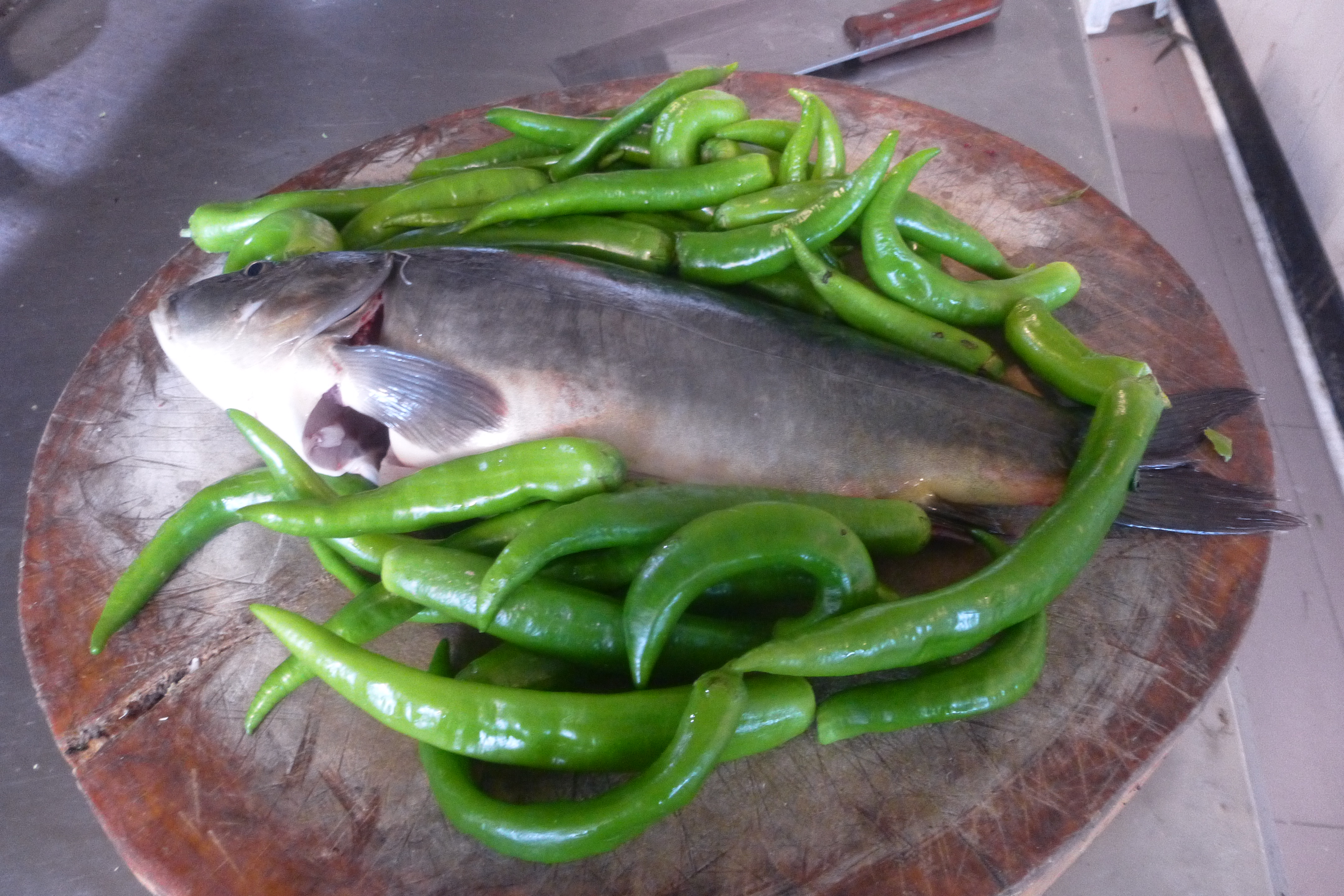 这个季节做鱼别放豆瓣泡辣椒,用半斤青椒火上一烧,味道巴适
