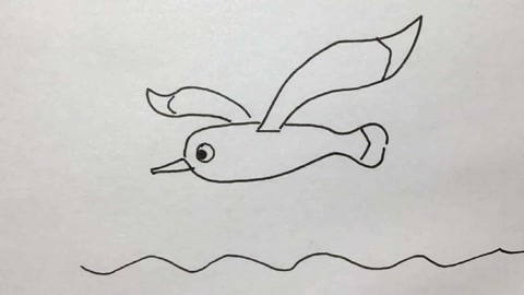 海鸥简笔画,自由自在飞翔的鸟!