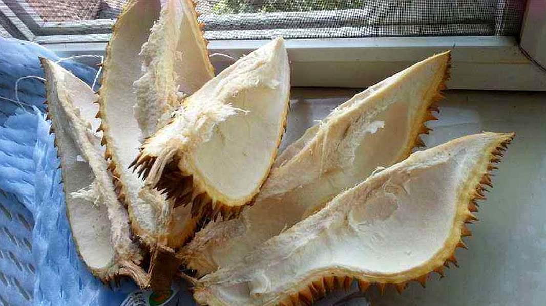 榴莲壳不要扔,留在家中还有这样的作用,看完记得告诉家里人