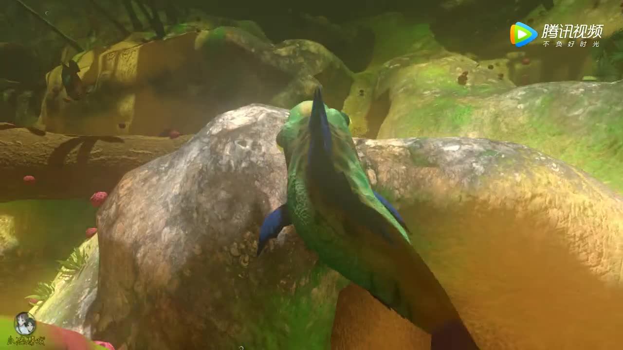 海底大猎杀 大鳄龟vs鳄雀鳝