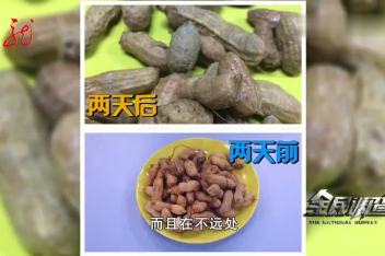 花生泡久了有毒吗 百度视频搜索