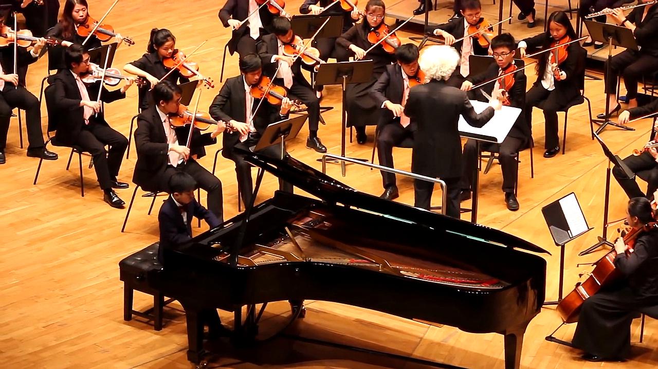 钢琴曲《致爱丽丝》经典演奏合集,美妙又动听