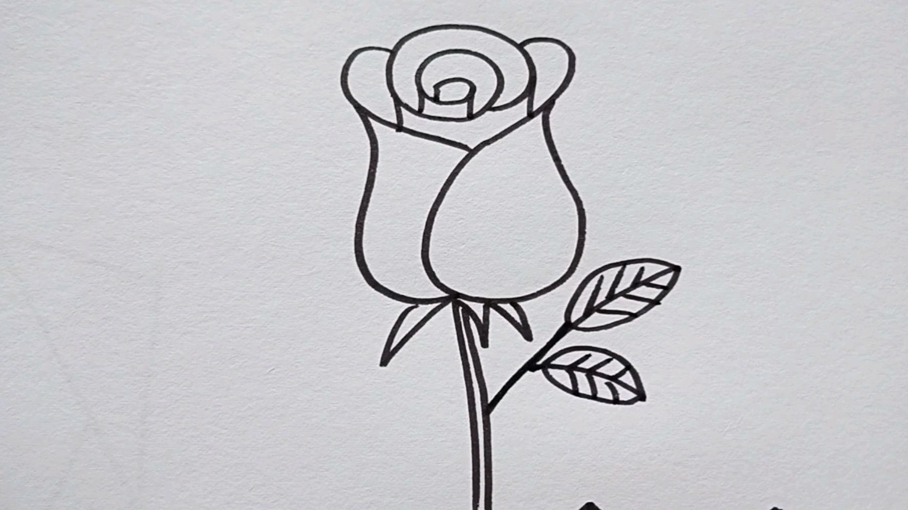 教你秒画玫瑰花,试试吧