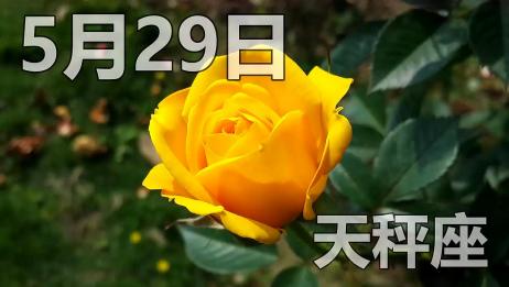 天秤座爱情占卜 这个对象自我保护意识强 目前对感情自私 爱言情