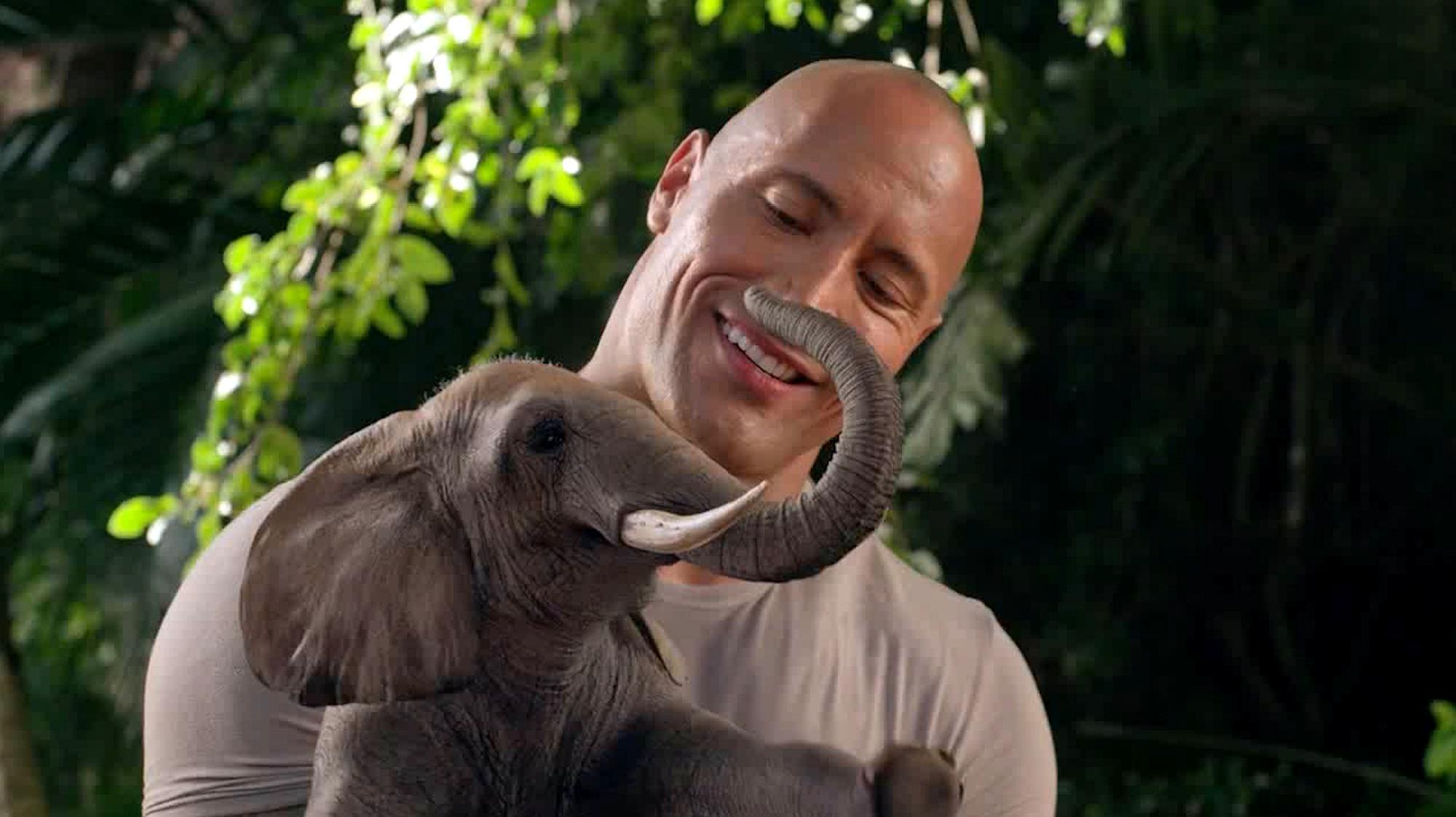 好看的电影有哪一些