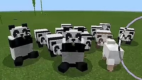 Minecraft 我的世界 新发布的1 14 新物品营火 木桶 熊猫 相关视频 我的世界 Mc1 14版更新9种不同的猫 熊猫和竹子还有这些特性 爱言情