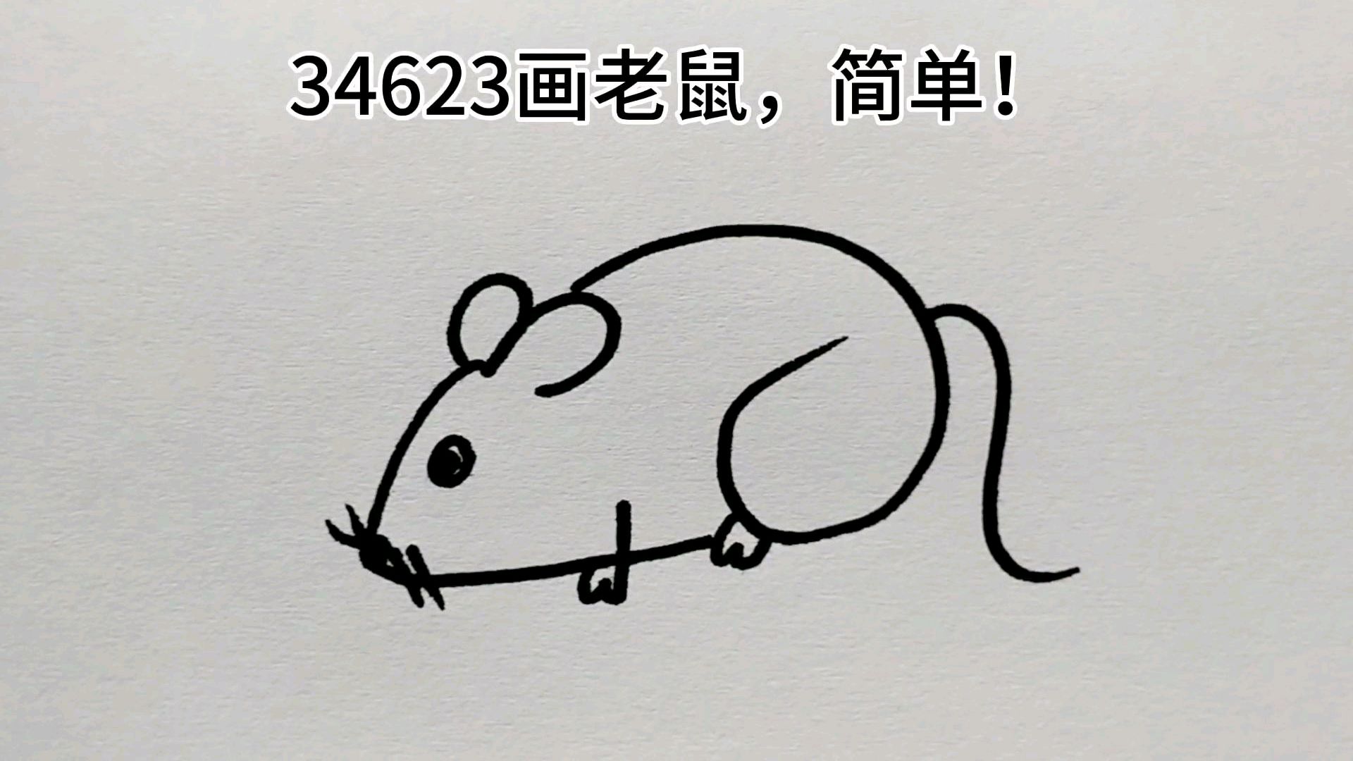 幼儿涂色画图片动物大全 简单漂亮简笔画老鼠画法💛巧艺网