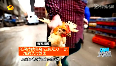 【20140219】新闻大求真:泡椒凤爪含有禽流感病毒 完全是谣言