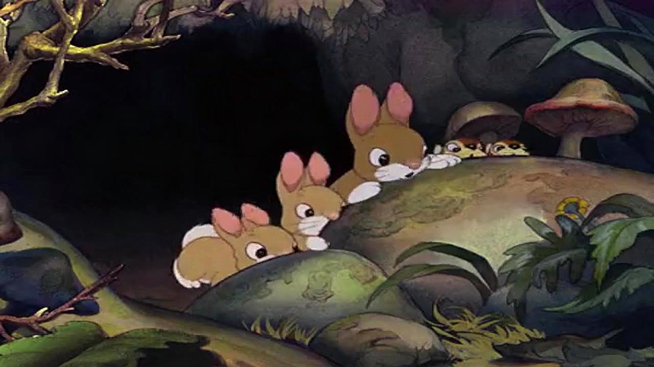 白雪公主害怕的躺地上哭泣,结果那些眼睛伸头了,竟然都是小动物