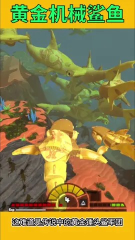 小伙伴们觉得黄金鲨厉害吗?