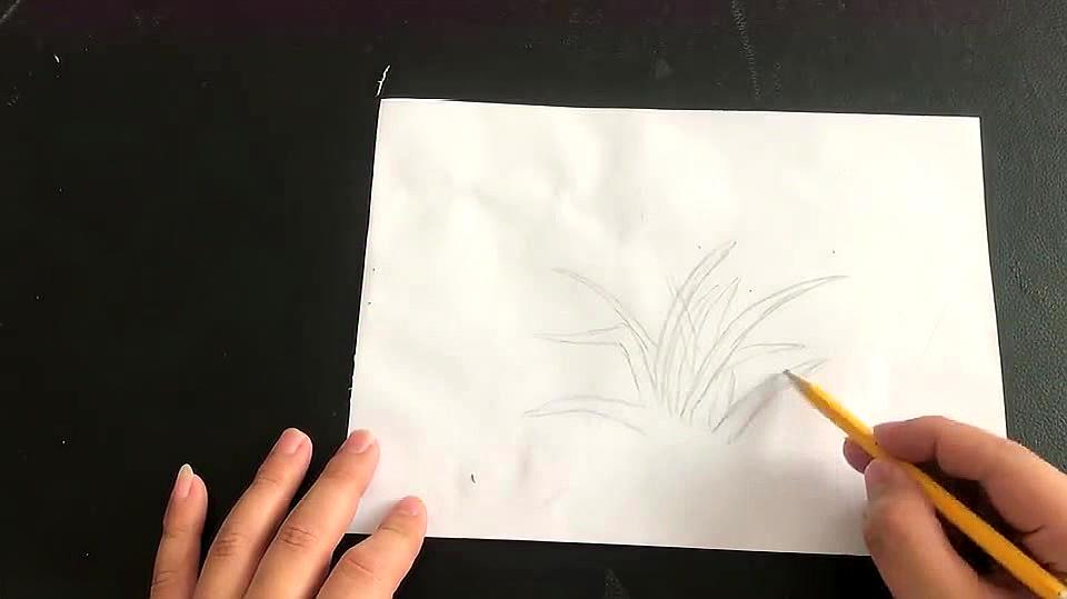 小草简笔画:三分钟儿童简笔画,超简单小孩子也能画,一起动手吧