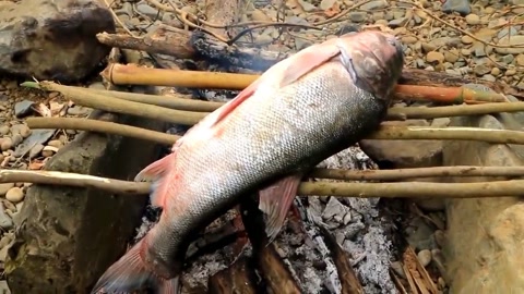 荒野生存记:荒野兄弟今天的烤鱼也太大了