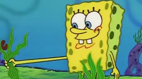 磁场剧型 海绵宝宝和水母生活