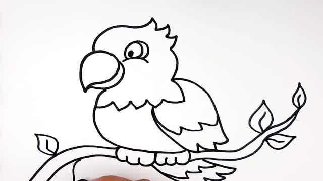 教你鹦鹉的画法,简单又好学!