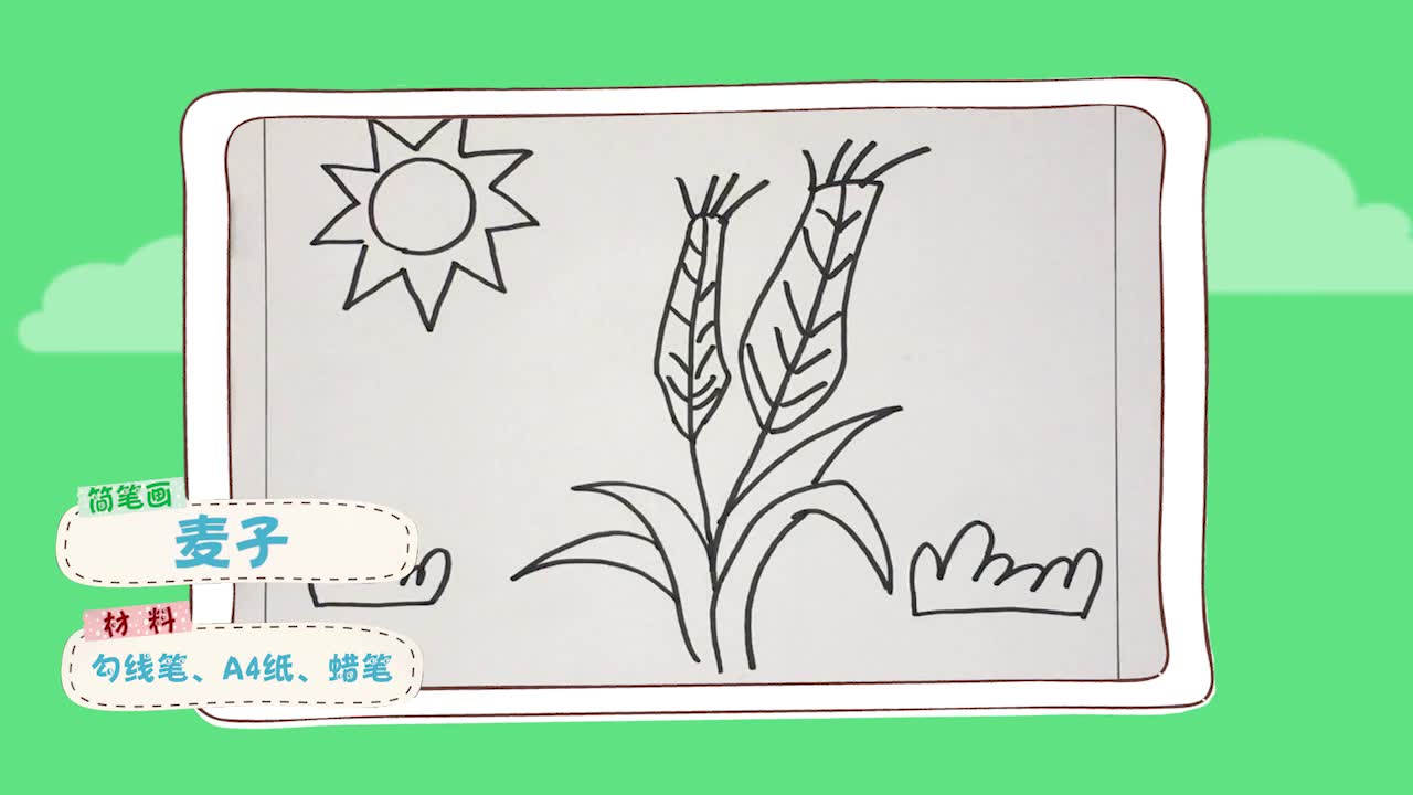 简笔画麦子 简单好学