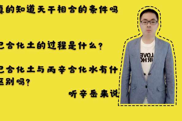 甲己合化土的原理 百度