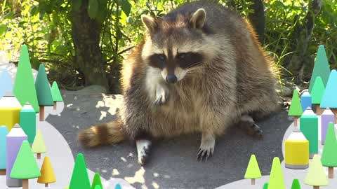 momo玩玩乐第八季少儿视频大全