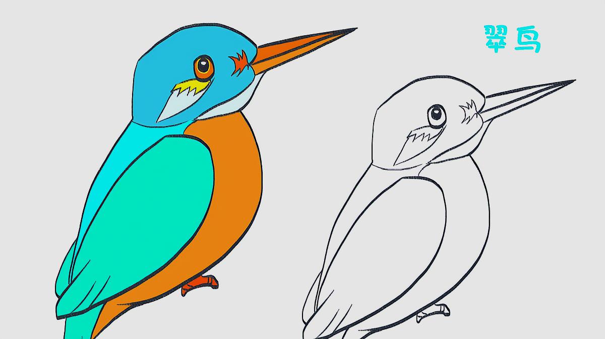 06:09  来源:腾讯视频-超级简单的儿童绘画,教宝宝如何画一只翠鸟