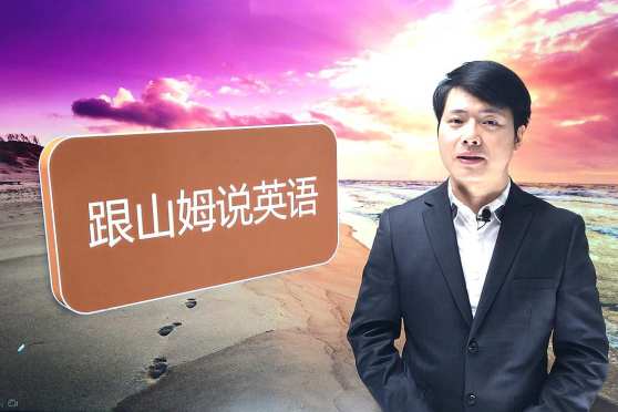 纯粹是什么意思 百度