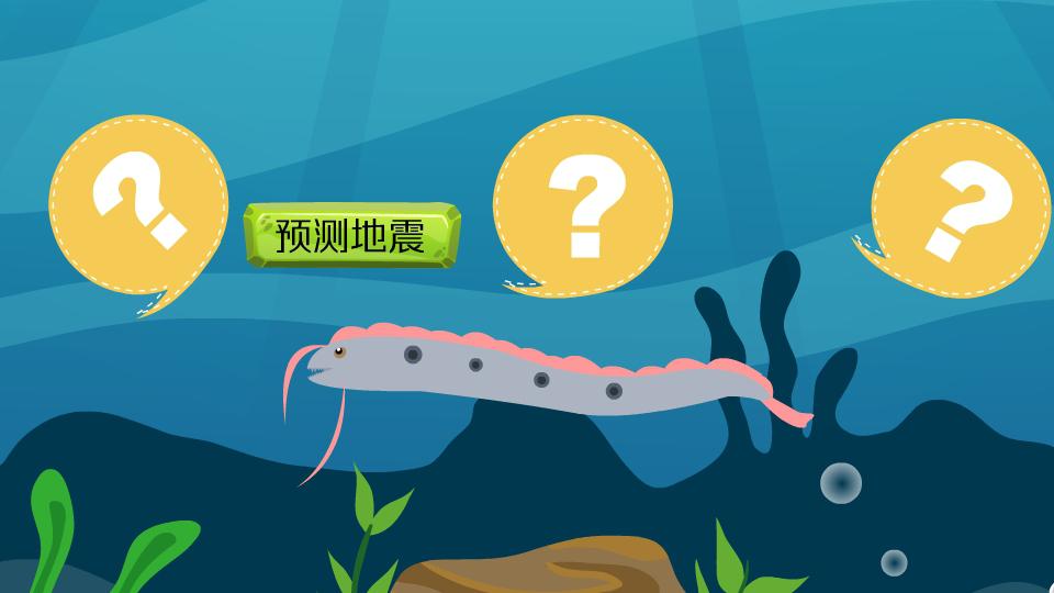 皇带鱼是什么鱼,皇带鱼为什么叫地震鱼?