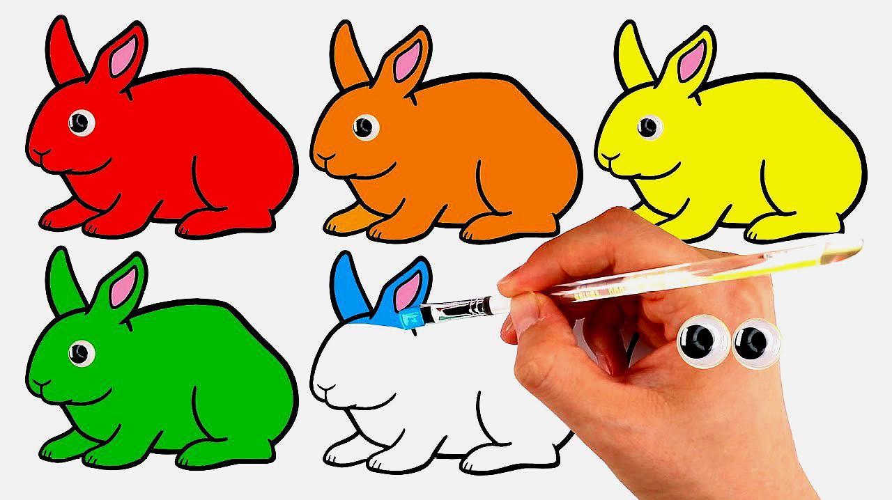 彩色小兔子玩具绘画