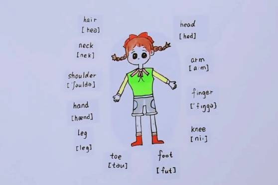 含有身体部位的词语 百度