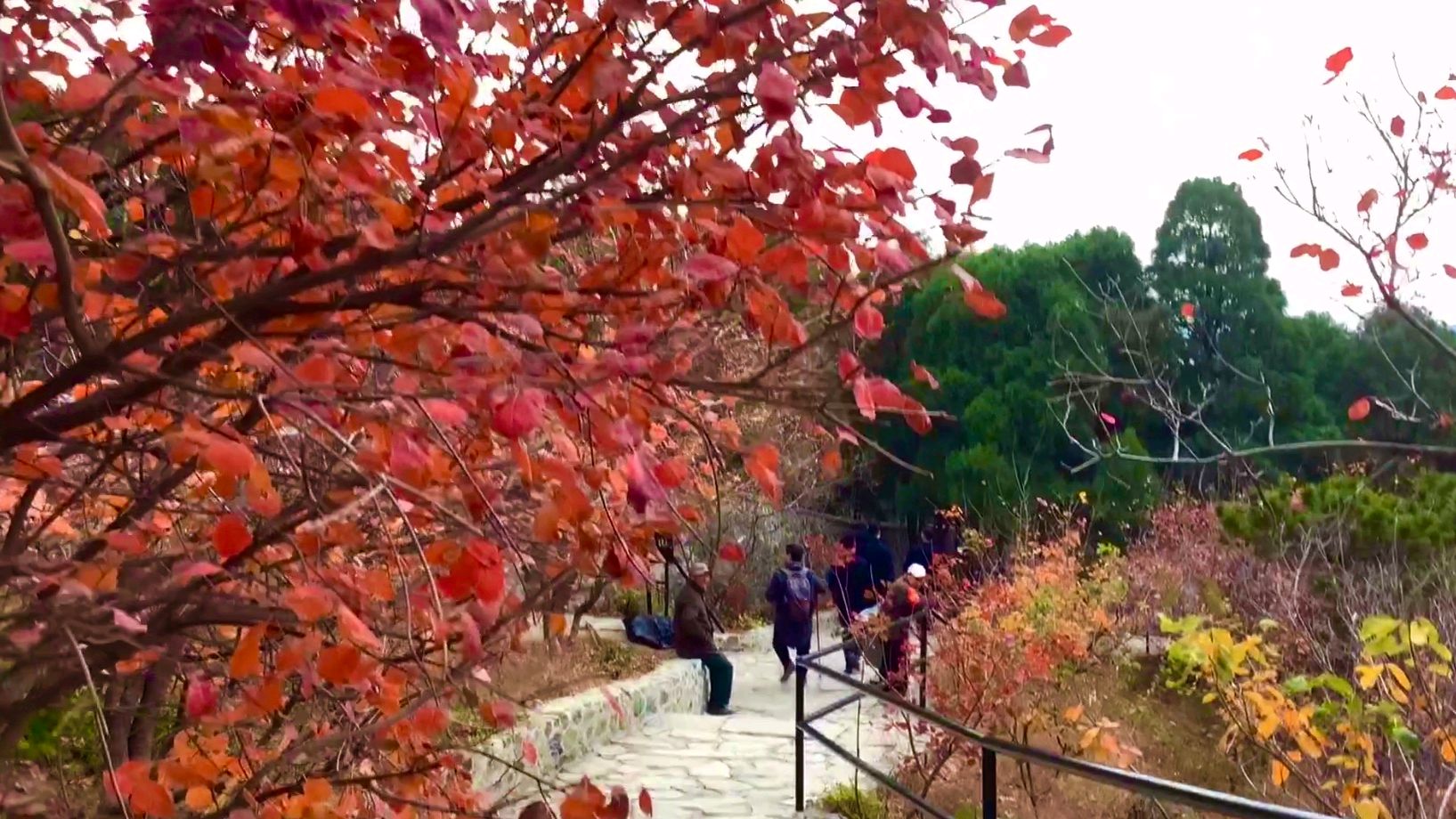 北京西北郊的皇家园林香山公园,非常值得去的旅游景点