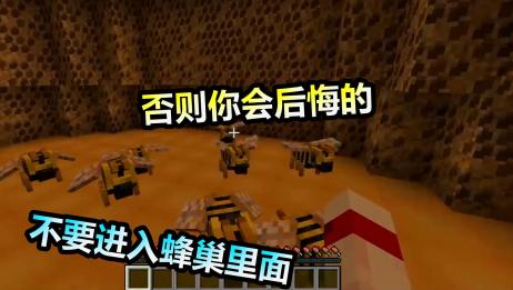 Minecraft里加入了蜜蜂 115先行版 爱言情