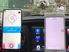 小云驾驶