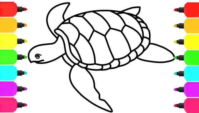 给宝宝画一只海龟简笔画涂色彩