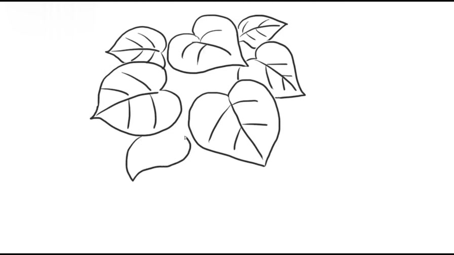 简笔画图片大全心形网纹草儿童亲子简笔画