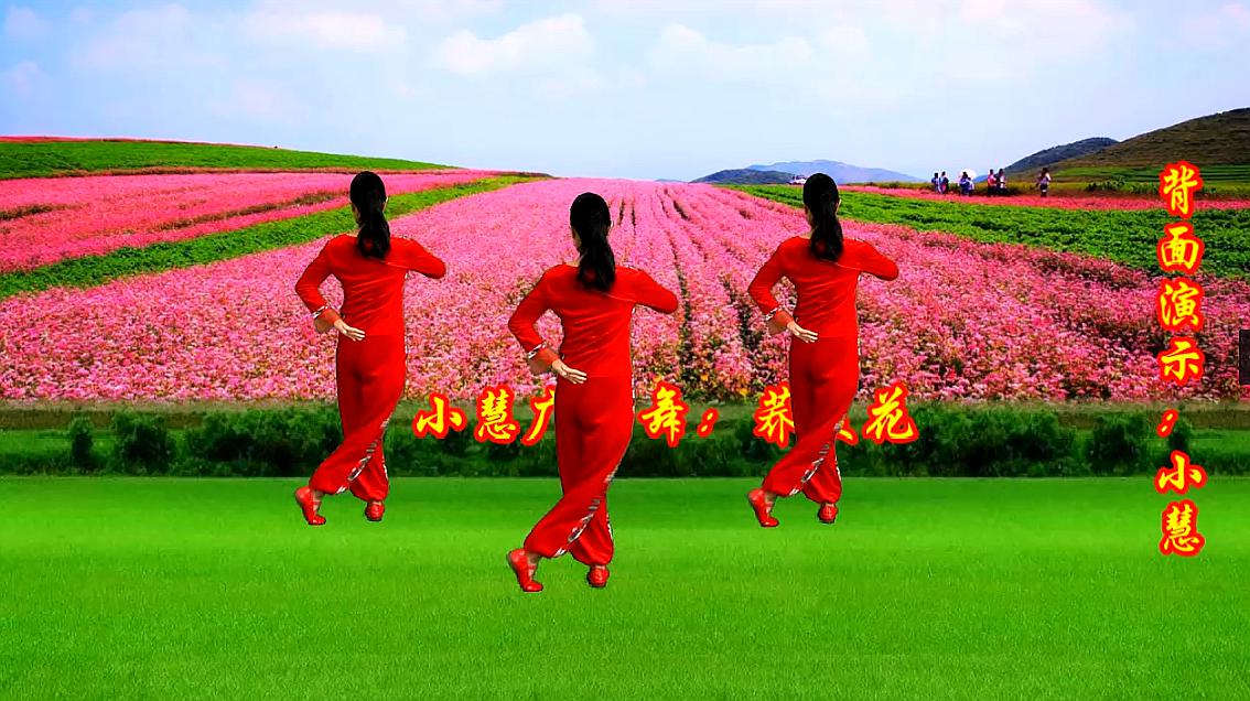 荞麦花广场舞怎么跳