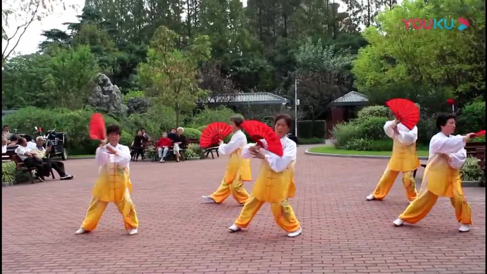 夕阳美太极功夫扇 全网资源