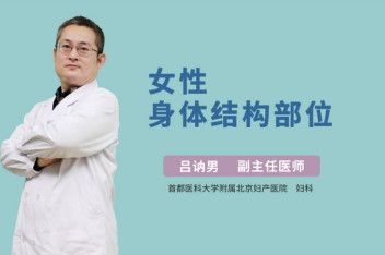 女性身体各部位名称 百度视频搜索