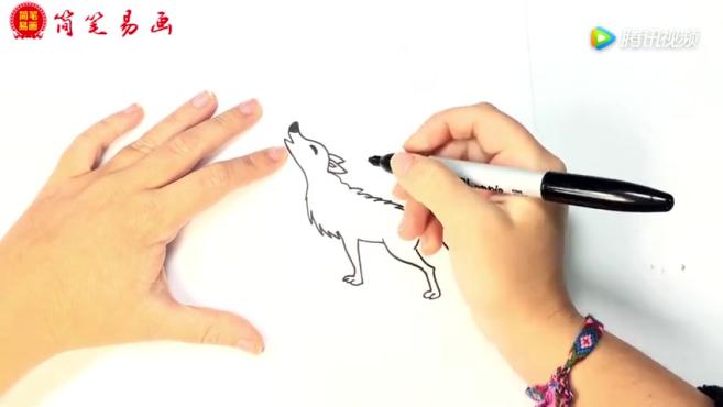 简笔画中怎么画狼?