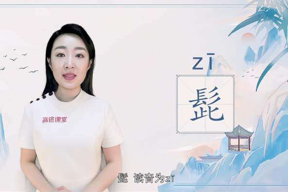 髭是什么动物 百度
