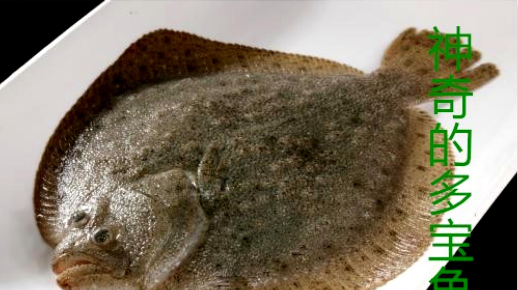 清蒸鱼怎么做好吃