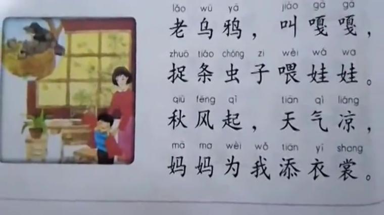 树枝的拼音 百度 树枝的拼音 百度