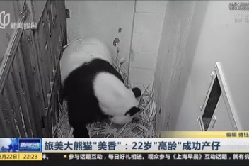 董美香最新作品 百度视频搜索