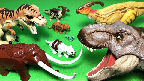 小恐龙玩具展示,孩子童年的最好伴侣