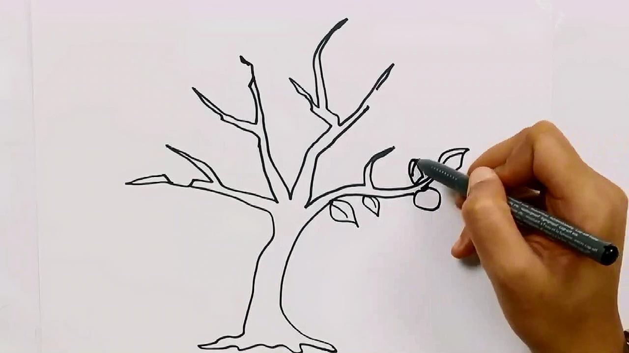 常见树木的简单画法,动手试一试吧