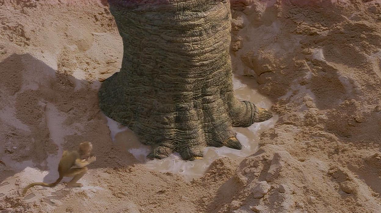 一条干涸的河道,被一条重达30吨的巨型恐龙,一脚踩出了大量水源