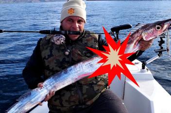 带鱼游泳_百度视频搜索