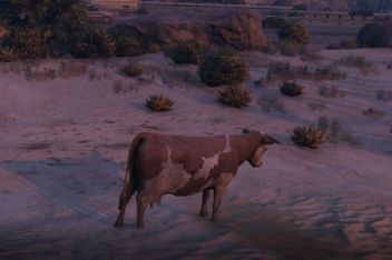 Gta5怎么抓动物 百度视频搜索